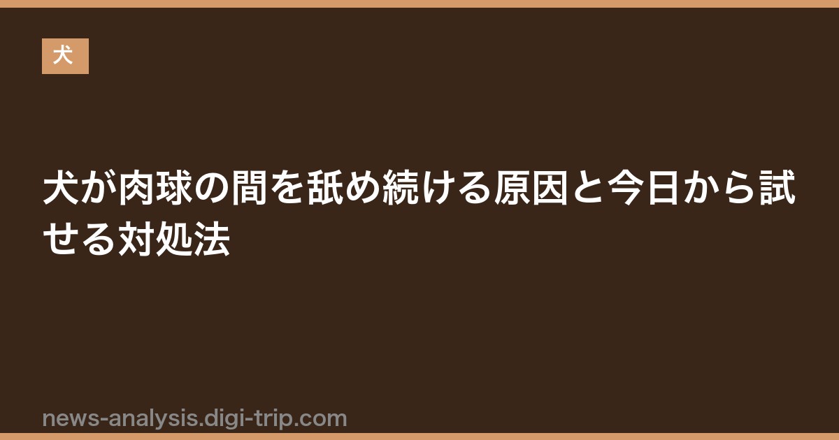犬が肉球の間を舐め続ける原因と今日から試せる対処法