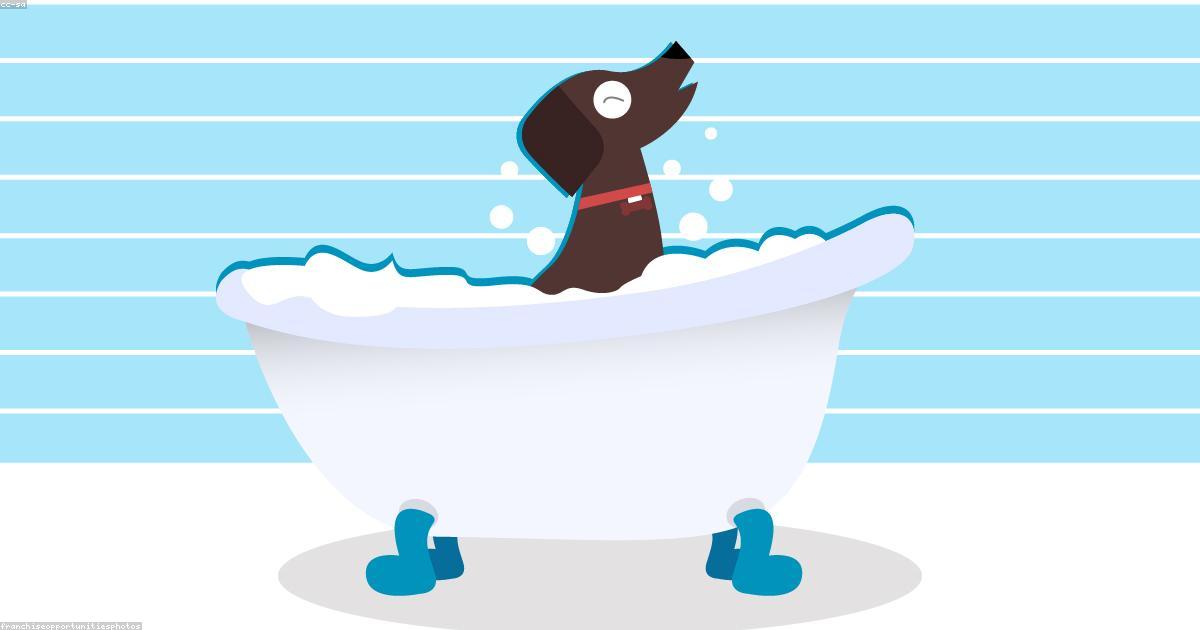 犬がバスルーム前でへたり込む原因と解決法7ステップ