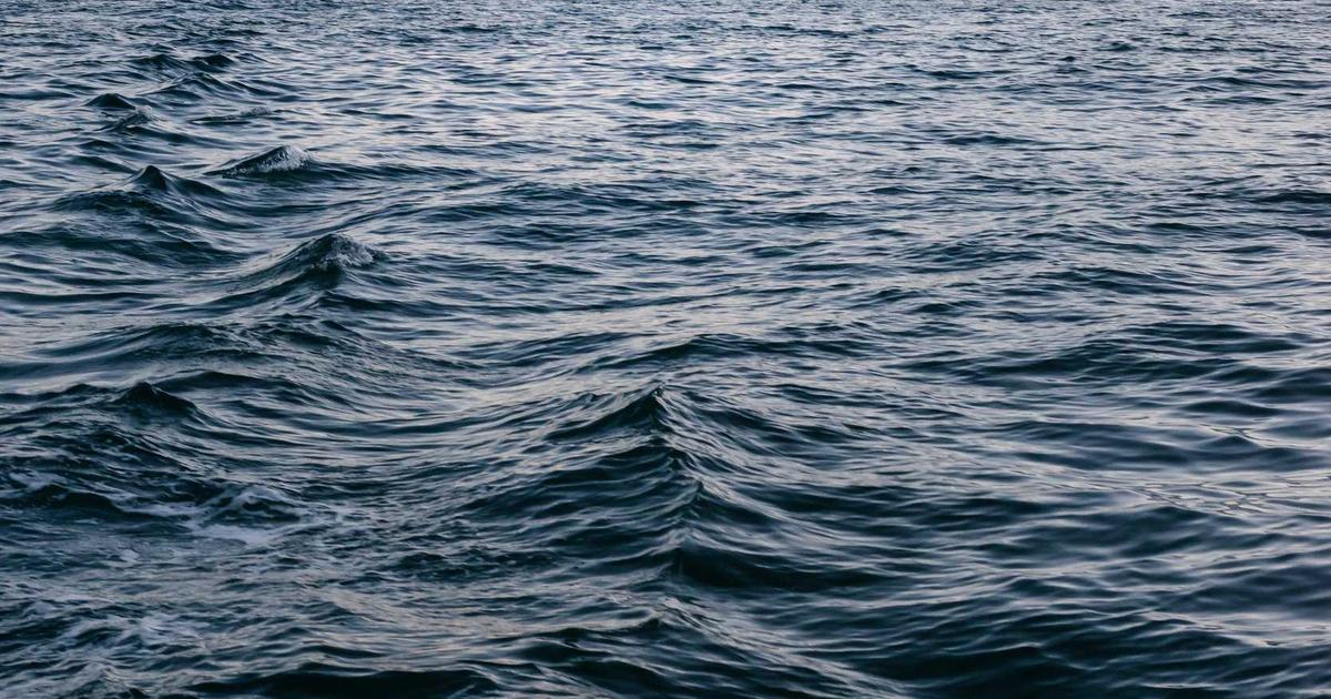 水たまり飛び込みをやめさせる5つの解決法