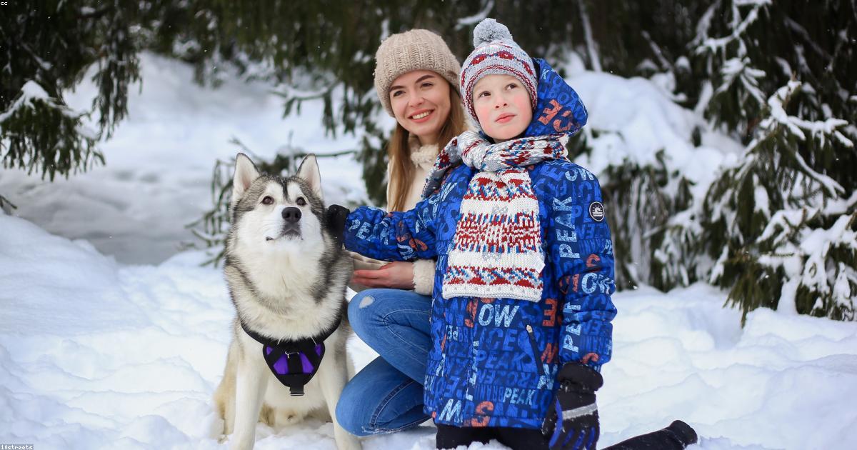 カバンの上に乗る犬をやめさせる5つの解決ステップ