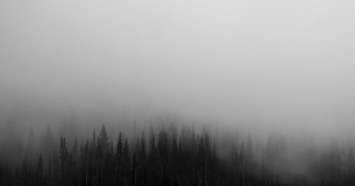 中古車 価格高騰でも損しない賢い買い方ガイド